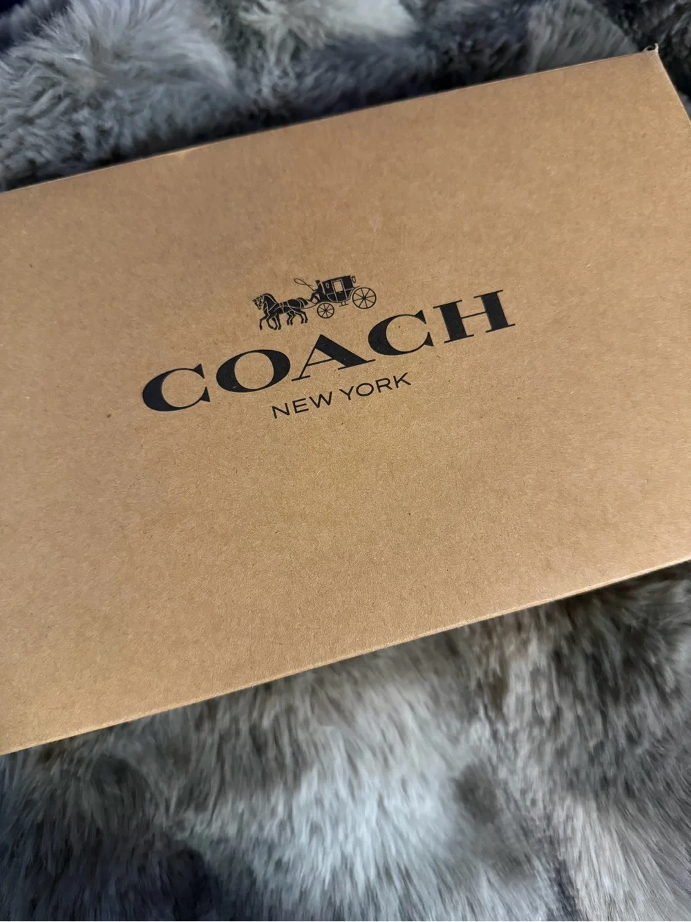 Coach Navy Blue Pebbled Leather Wristlet Pouch with Silver Hardware